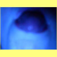DSCN0137_s.jpg