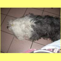 DSCN7011_s.jpg