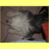 DSCN7045_s.jpg