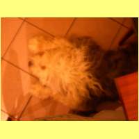 DSCN7046_s.jpg