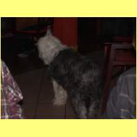 DSCN7138_s.jpg