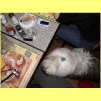 DSCN7631_s.jpg