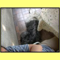 DSCN8138_s.jpg