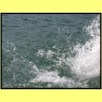 DSCN8153_s.jpg