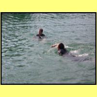 DSCN8154_s.jpg
