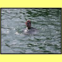 DSCN8156_s.jpg
