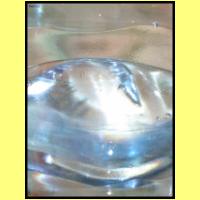 DSCN8209_s.jpg