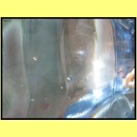 DSCN8210_s.jpg