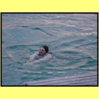 DSCN8228_s.jpg