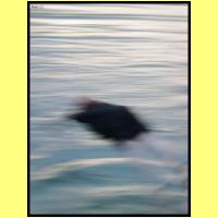 DSCN8232_s.jpg