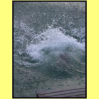 DSCN8243_s.jpg