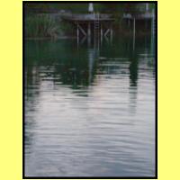 DSCN8264_s.jpg