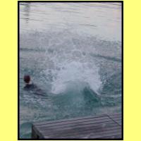 DSCN8265_s.jpg