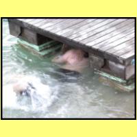 DSCN8268_s.jpg