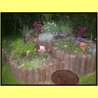 DSCN8274_s.jpg