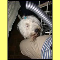 DSCN8278_s.jpg