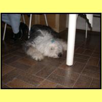 DSCN8306_s.jpg