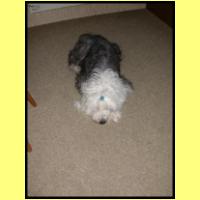 DSCN8335_s.jpg