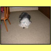 DSCN8336_s.jpg