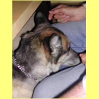 DSCN0762_s.jpg