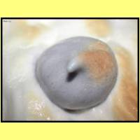 DSCN8554_s.jpg