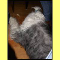 DSCN8571_s.jpg