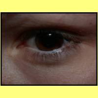 DSCN8594_s.jpg