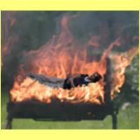 murmel_wird_gegrillt.jpg