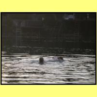 DSCN9823_s.jpg