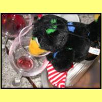 DSCN2079_s.jpg