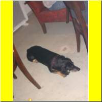 DSCN4243_s.jpg