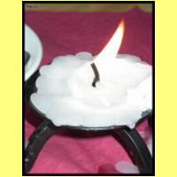 DSCN4917_s.jpg