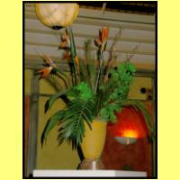 DSCN7045_s.jpg