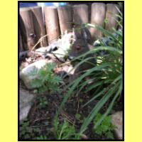 DSCN7106_s.jpg