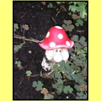 DSCN7112_s.jpg