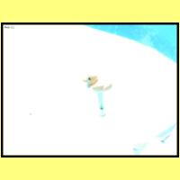 DSCN7117_s.jpg