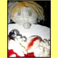 DSCN8380_s.jpg