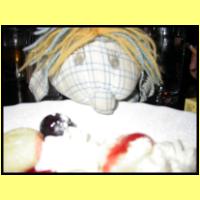 DSCN8381_s.jpg