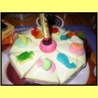 DSCN9039_s.jpg