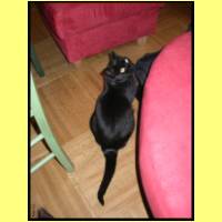 DSCN4661_s.jpg