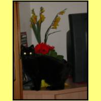 DSCN4666_s.jpg