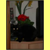 DSCN4667_s.jpg