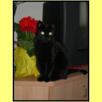 DSCN4668_s.jpg