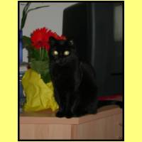 DSCN4669_s.jpg