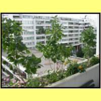 DSCN4672_s.jpg