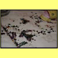 IMG_3950_s.jpg