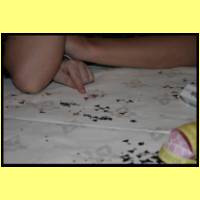 IMG_3963_s.jpg