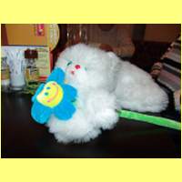 200307_2212_2ax.JPG