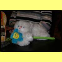 IMG_2201_s.jpg