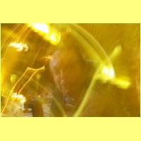 Hans_K_L1001050.jpg